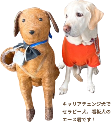 お店のマスコット犬